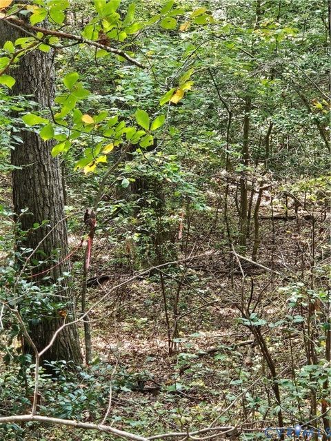 Tiny photo for 00 Off of Long Branch Road, Woodford, VA 22580 (MLS # 2528660)