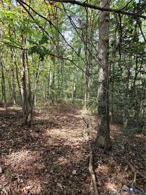 Tiny photo for 00 Off of Long Branch Road, Woodford, VA 22580 (MLS # 2528660)