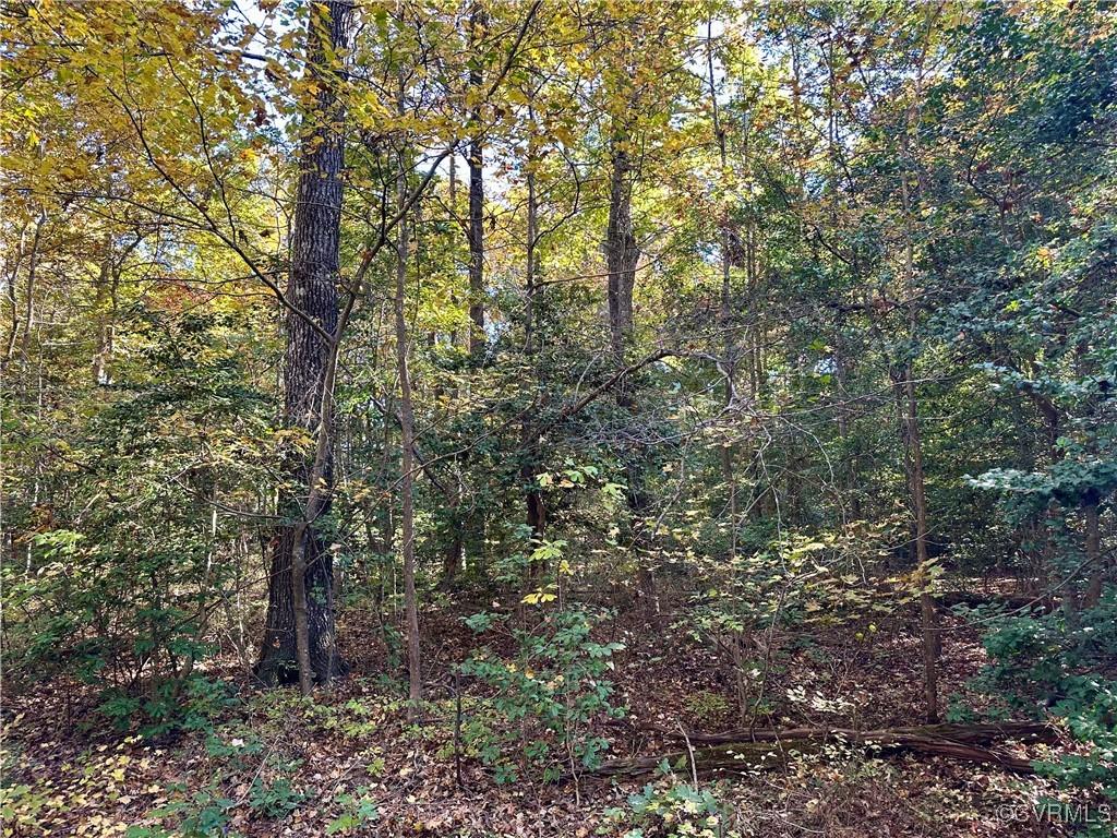 426 Coalfield Road