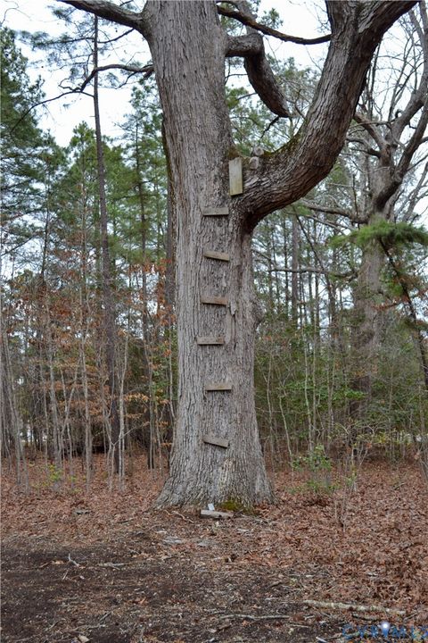 Tiny photo for 13006 Hensley Road, Midlothian, VA 23112 (MLS # 2604089)