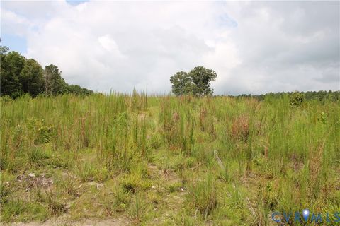 Tiny photo for TBD3 Black Branch Road, Stony Creek, VA 23882 (MLS # 2618413)