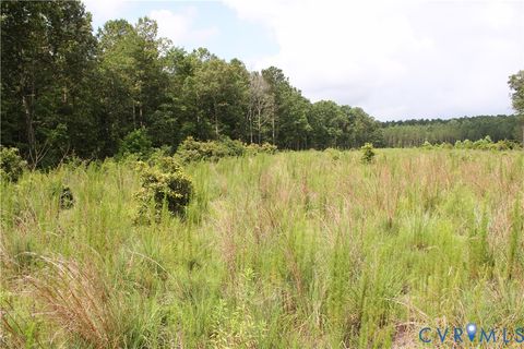 Tiny photo for TBD3 Black Branch Road, Stony Creek, VA 23882 (MLS # 2618413)