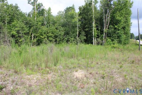 Tiny photo for TBD3 Black Branch Road, Stony Creek, VA 23882 (MLS # 2618413)