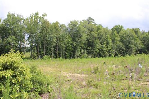 Tiny photo for TBD3 Black Branch Road, Stony Creek, VA 23882 (MLS # 2618413)