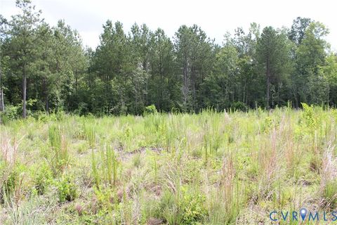 Tiny photo for TBD3 Black Branch Road, Stony Creek, VA 23882 (MLS # 2618413)