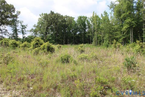 Tiny photo for TBD3 Black Branch Road, Stony Creek, VA 23882 (MLS # 2618413)