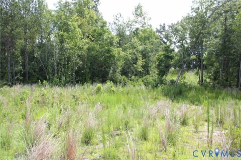 Tiny photo for TBD3 Black Branch Road, Stony Creek, VA 23882 (MLS # 2618413)
