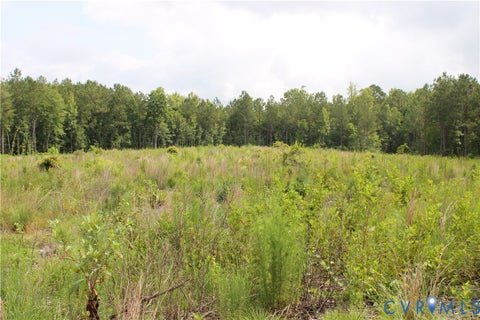 Tiny photo for TBD3 Black Branch Road, Stony Creek, VA 23882 (MLS # 2618413)