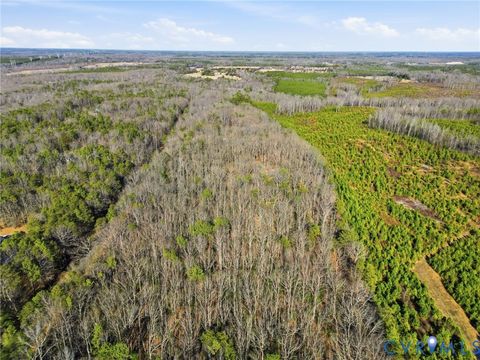 Tiny photo for 17172 English Walnut Road, Beaverdam, VA 23015 (MLS # 2602549)