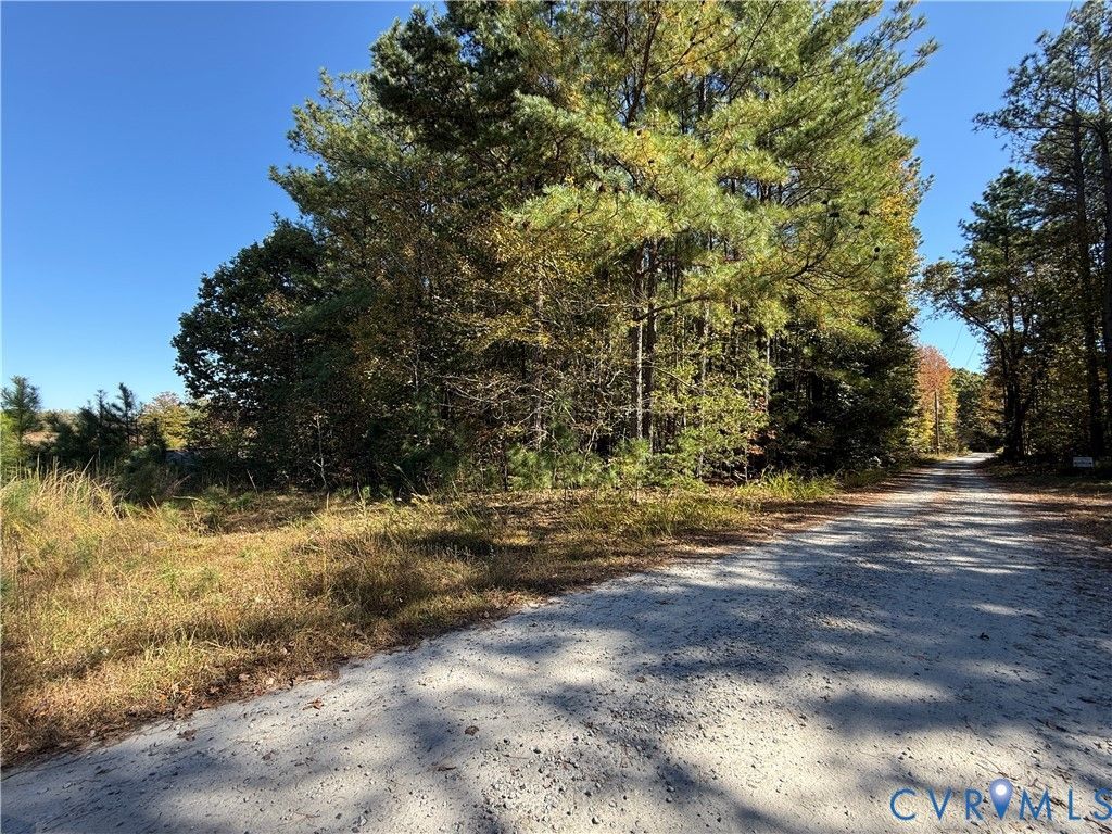 Photo for 0 Pine Rdige Drive, Jetersville, VA 23083 (MLS # 2529805)
