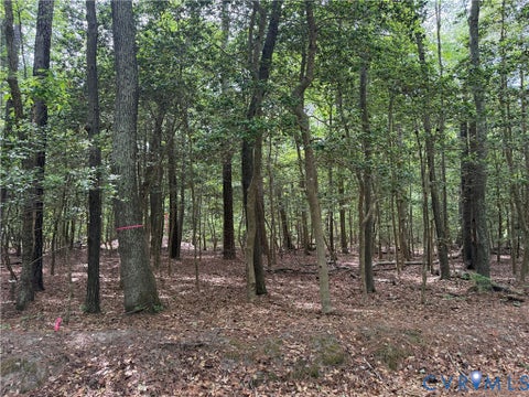 Tiny photo for Lots 1,2,3,4 Horseshoe Bend Road, Deltaville, VA 23043 (MLS # 2625008)