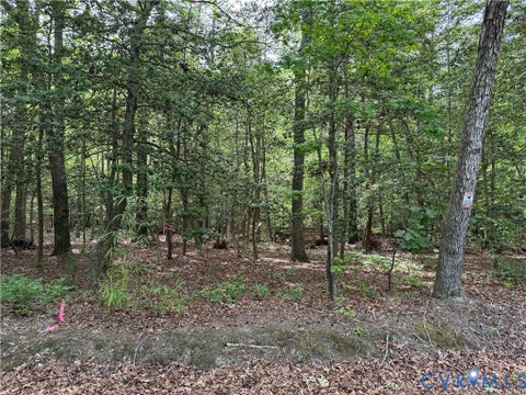 Tiny photo for Lots 1,2,3,4 Horseshoe Bend Road, Deltaville, VA 23043 (MLS # 2625008)