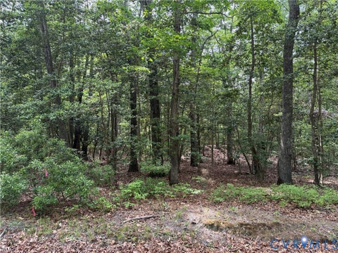 Tiny photo for Lots 1,2,3,4 Horseshoe Bend Road, Deltaville, VA 23043 (MLS # 2625008)