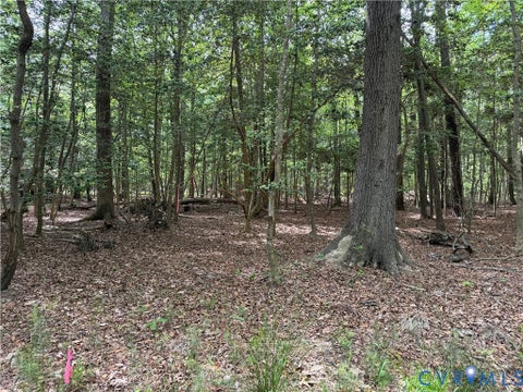 Tiny photo for Lots 1,2,3,4 Horseshoe Bend Road, Deltaville, VA 23043 (MLS # 2625008)