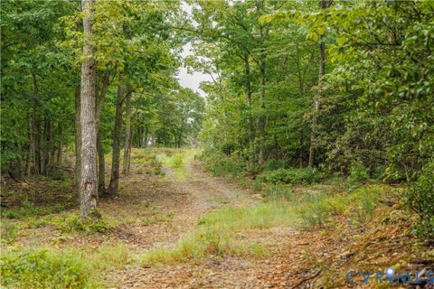 Tiny photo for 0 Shiloh Mountain Trail, Schuyler, VA 22969 (MLS # 2614756)
