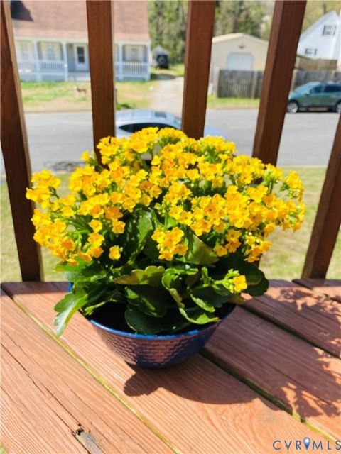 Tiny photo for 3408 Shady Creek Road, North Chesterfield, VA 23234 (MLS # 2607877)