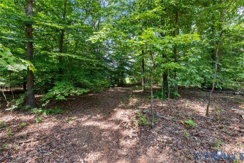 Tiny photo for 304 Johnson Mill Road, Bumpass, VA 23024 (MLS # 2620695)