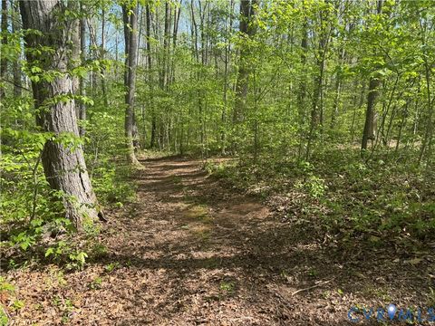 Tiny photo for 14430 Overlook Ridge Lane, Beaverdam, VA 23015 (MLS # 2609303)