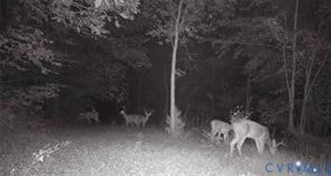 Tiny photo for 14430 Overlook Ridge Lane, Beaverdam, VA 23015 (MLS # 2609303)