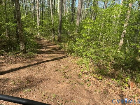Tiny photo for 14430 Overlook Ridge Lane, Beaverdam, VA 23015 (MLS # 2609303)