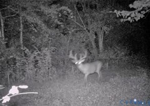 Tiny photo for 14430 Overlook Ridge Lane, Beaverdam, VA 23015 (MLS # 2609303)