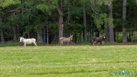 Tiny photo for 5200 Anderson Highway, Powhatan, VA 23139 (MLS # 2623667)
