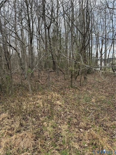 Tiny photo for TBD #2 Clarke Road, New Kent, VA 23089 (MLS # 2610048)