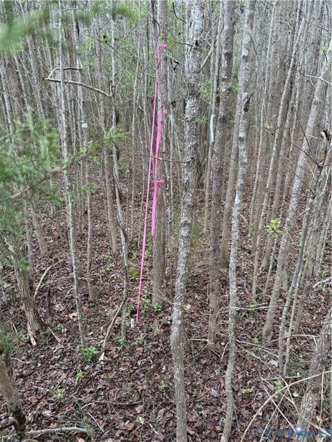 Tiny photo for TBD #2 Clarke Road, New Kent, VA 23089 (MLS # 2610048)