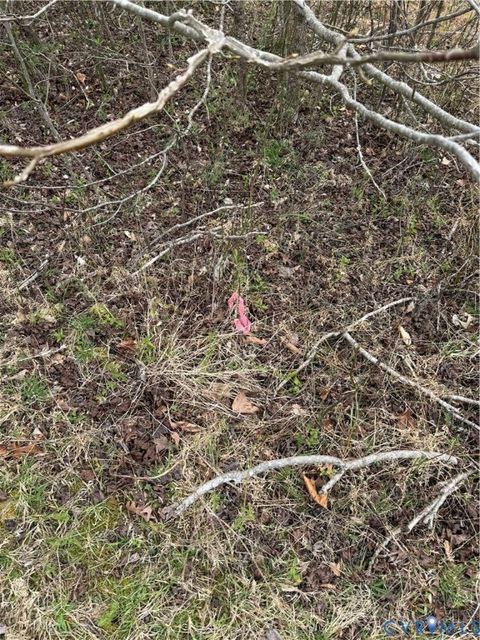 Tiny photo for TBD #2 Clarke Road, New Kent, VA 23089 (MLS # 2610048)