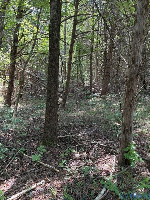 Tiny photo for 0 cumberland Road, Cumberland, VA 23901 (MLS # 2523612)