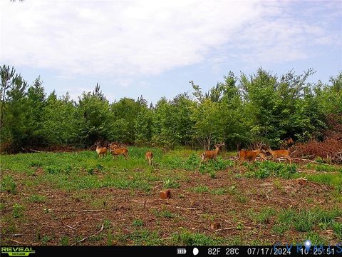 Tiny photo for 0 cumberland Road, Cumberland, VA 23901 (MLS # 2523612)