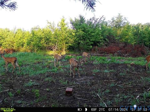 Tiny photo for 0 cumberland Road, Cumberland, VA 23901 (MLS # 2523612)