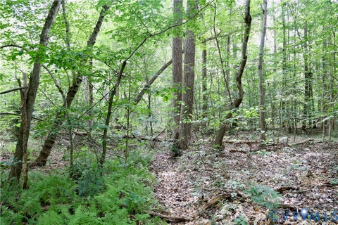 Tiny photo for 0 Johnson Road, Mineral, VA 23117 (MLS # 2618814)