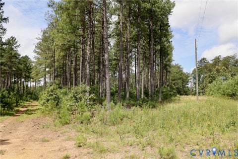 Tiny photo for 0 Johnson Road, Mineral, VA 23117 (MLS # 2618814)