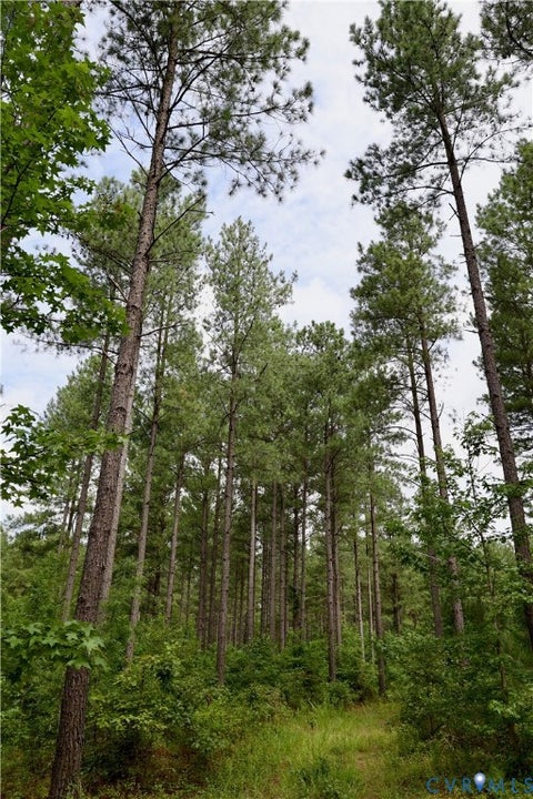 Tiny photo for 0 Johnson Road, Mineral, VA 23117 (MLS # 2618814)