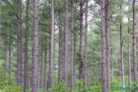 Tiny photo for 0 Johnson Road, Mineral, VA 23117 (MLS # 2618814)