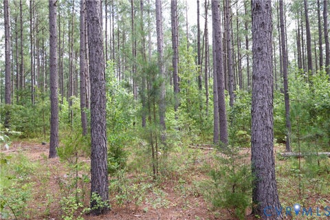 Tiny photo for 0 Johnson Road, Mineral, VA 23117 (MLS # 2618814)