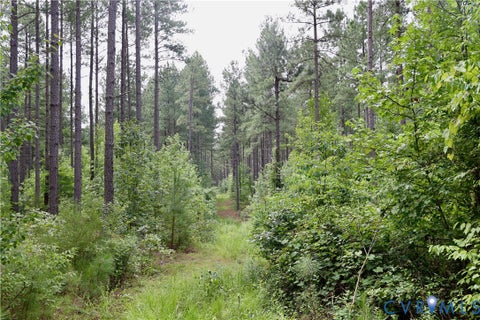 Tiny photo for 0 Johnson Road, Mineral, VA 23117 (MLS # 2618814)