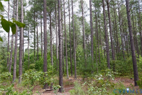 Tiny photo for 0 Johnson Road, Mineral, VA 23117 (MLS # 2618814)