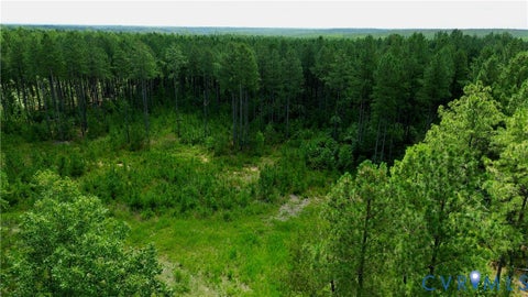 Tiny photo for 0 Johnson Road, Mineral, VA 23117 (MLS # 2618814)