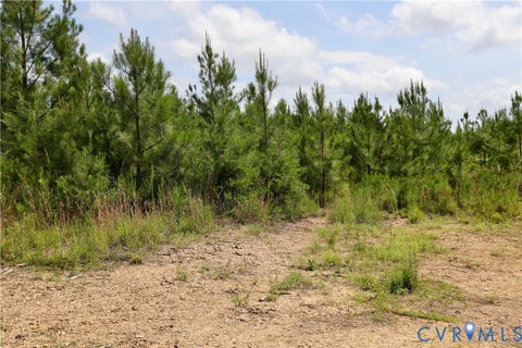 Tiny photo for 0 Johnson Road, Mineral, VA 23117 (MLS # 2618814)