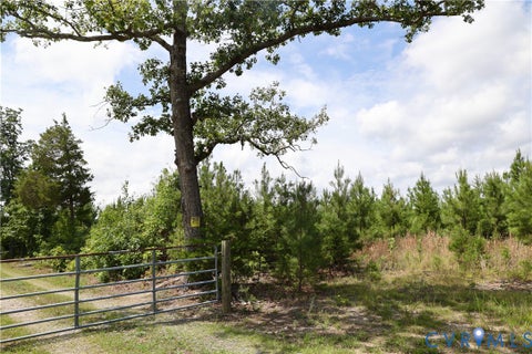 Tiny photo for 0 Johnson Road, Mineral, VA 23117 (MLS # 2618814)
