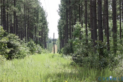 Tiny photo for 0 Johnson Road, Mineral, VA 23117 (MLS # 2618814)