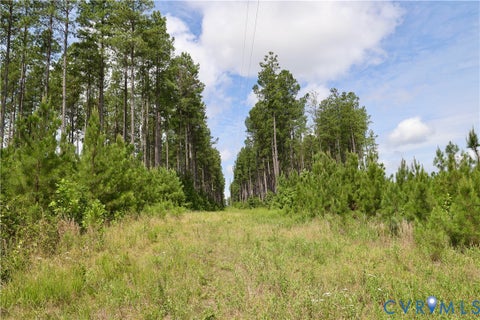 Tiny photo for 0 Johnson Road, Mineral, VA 23117 (MLS # 2618814)