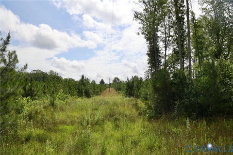 Tiny photo for 0 Johnson Road, Mineral, VA 23117 (MLS # 2618814)