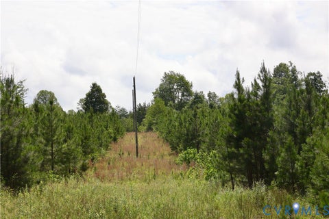 Tiny photo for 0 Johnson Road, Mineral, VA 23117 (MLS # 2618814)