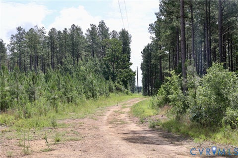 Tiny photo for 0 Johnson Road, Mineral, VA 23117 (MLS # 2618814)