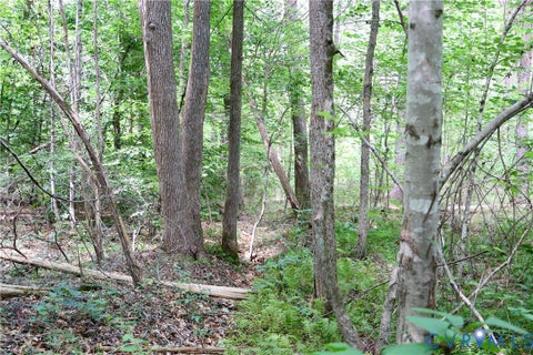 Tiny photo for 0 Johnson Road, Mineral, VA 23117 (MLS # 2618814)