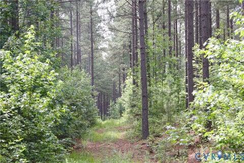 Tiny photo for 0 Johnson Road, Mineral, VA 23117 (MLS # 2618814)