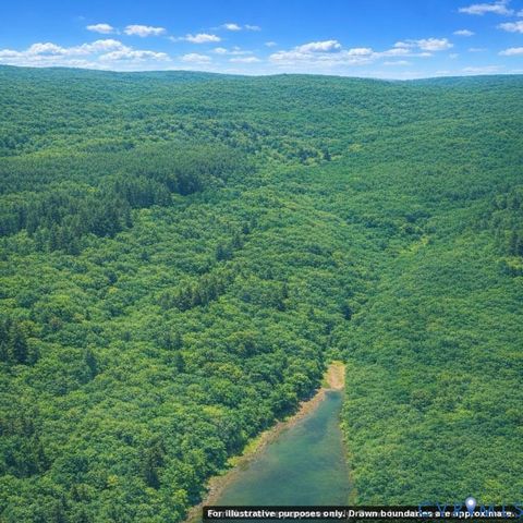 Tiny photo for N/A Spring Garden Road, King & Queen, VA 23085 (MLS # 2612809)